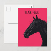 Zwarte paarden briefkaart (Voorkant / Achterkant)