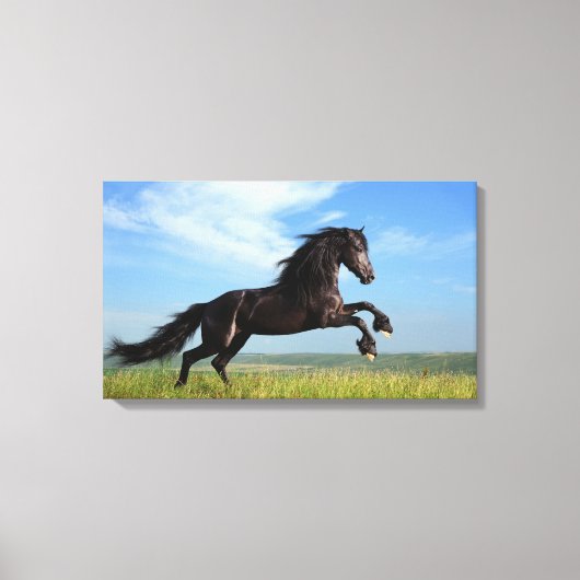 Zwarte paarden canvas afdruk (Voorkant)