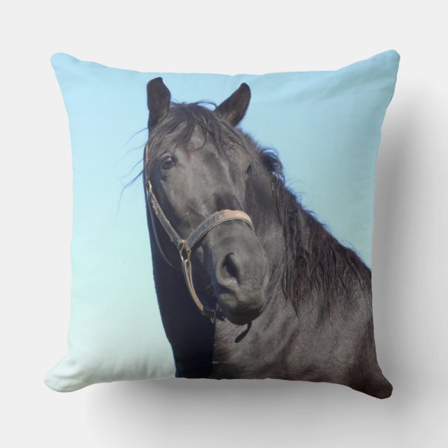 Zwarte paarden en de blauwe hemel kussen (Voorkant)