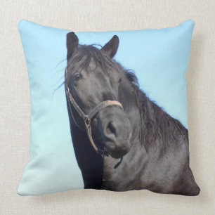 Zwarte paarden en de blauwe hemel kussen