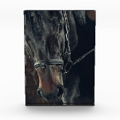 Zwarte paarden fotoblokken (Voorkant)