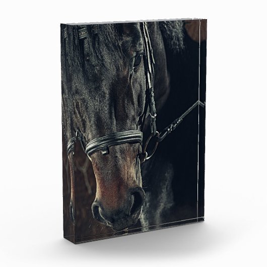 Zwarte paarden fotoblokken (Links)