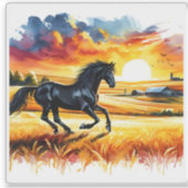 Zwarte paarden galopperen in Golden Fields Sticker (Voorkant)