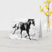 Zwarte paarden kaart (Gele Bloem)