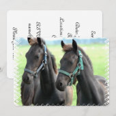 Zwarte paarden kaart (Voorkant / Achterkant)