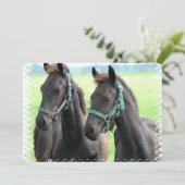 Zwarte paarden kaart (Staand voorkant)