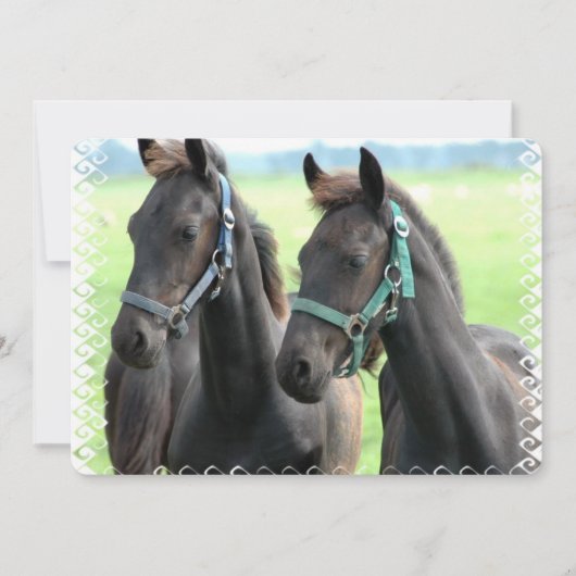 Zwarte paarden kaart (Voorkant)