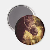 Zwarte paarden magneet (Voorkant / Achterkant)
