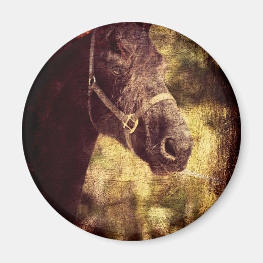 Zwarte paarden magneet (Voorkant)