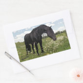Zwarte paarden rechthoekige sticker (Envelop)
