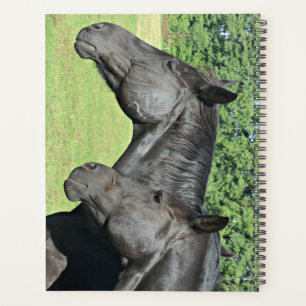 Zwarte Paardenhoofden in Vreedzaam Profiel Planner