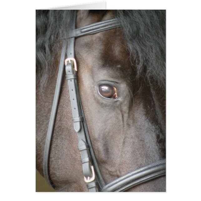 Zwarte paardenkaart (Voorkant)