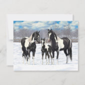 zwarte paardenpestjes met kwartsverf in sneeuw kaart (Voorkant)