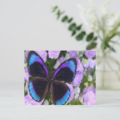 Zwarte, Paarse en blauwe vlinder Briefkaart (Staand voorkant)