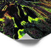 Zwarte paddenstoel poster (Hoek)