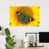 Zwarte Pages Papilio polyxenes op Zonnebloem Poster (Thuiskantoor)