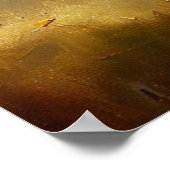 Zwarte panter (2) Wilde kat Poster (Hoek)