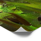 Zwarte panter (4) Wilde kat Poster (Hoek)