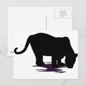 Zwarte panter briefkaart (Voorkant / Achterkant)