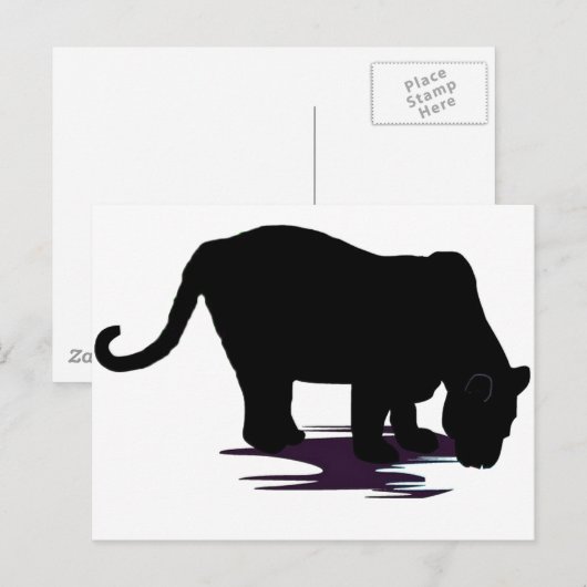 Zwarte panter briefkaart (Voorkant / Achterkant)