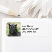 Zwarte panter etiket (Insitu)