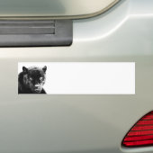 Zwarte Panter Jaguar Bumpersticker (Op auto)