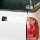 Zwarte Panter Jaguar Bumpersticker (Op Truck)