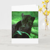 Zwarte Panter Jaquar op Groen Kaart (Gele Bloem)