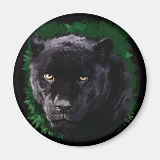 Zwarte panter magneet