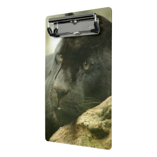 Zwarte panter mini klembord (Angled2)