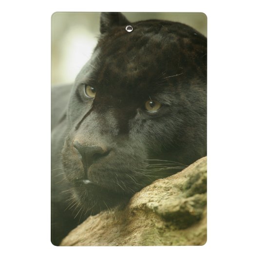 Zwarte panter mini klembord (Achterkant)