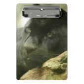 Zwarte panter mini klembord (Voorkant)