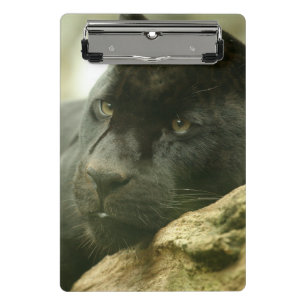 Zwarte panter mini klembord