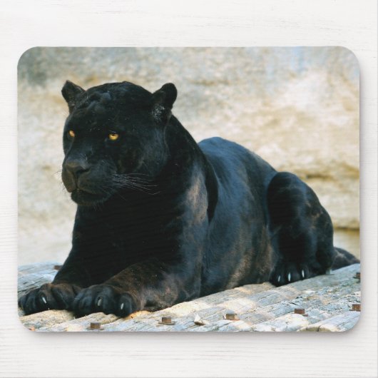 Zwarte panter muismat (Voorkant)