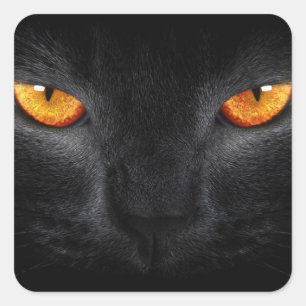 Zwarte Panter Ogen Vierkante Sticker