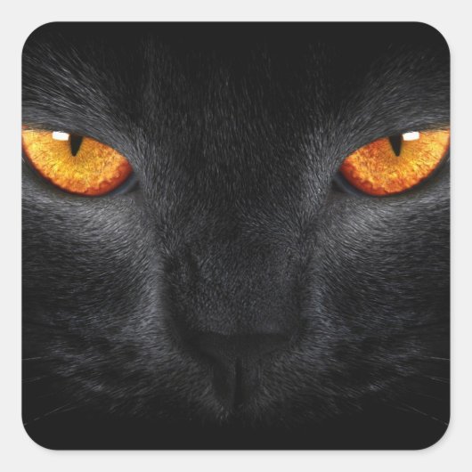 Zwarte Panter Ogen Vierkante Sticker (Voorkant)