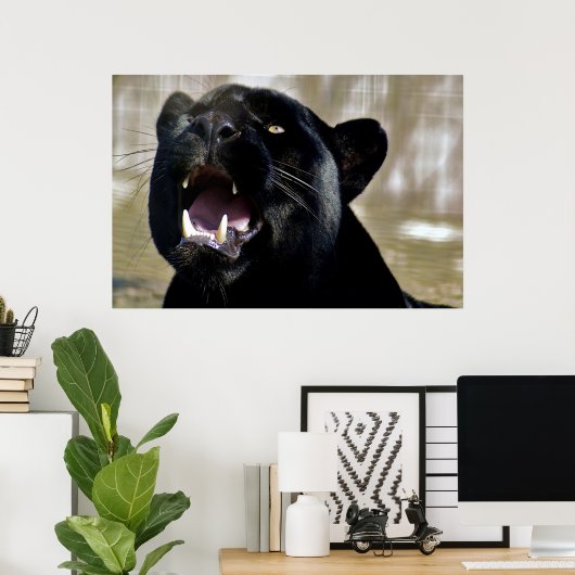 Zwarte panter poster (Thuiskantoor)