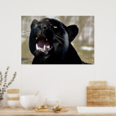 Zwarte panter poster (Keuken)