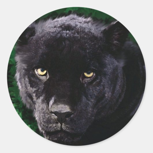 Zwarte panter ronde sticker (Voorkant)