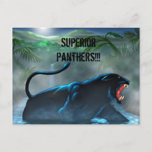zwarte panter, superieure panters!!! briefkaart
