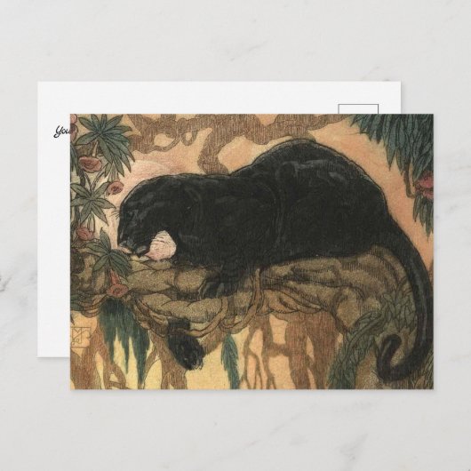  zwarte panterkat briefkaart (Voorkant / Achterkant)