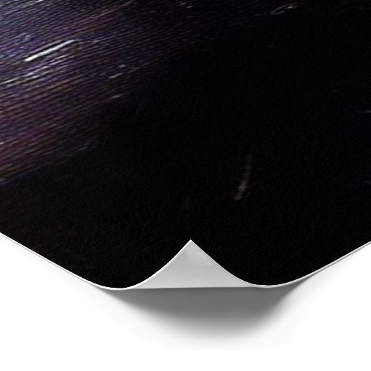 Zwarte panther (7) Wilde kat Poster (Hoek)