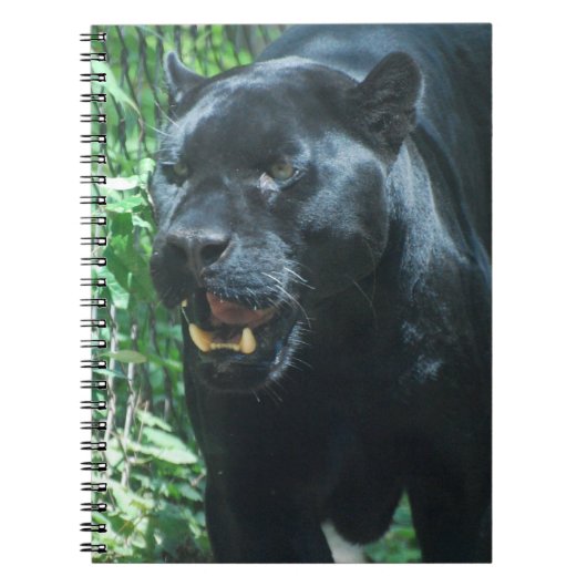 Zwarte Panther Cat-laptop Notitieboek (Voorkant)