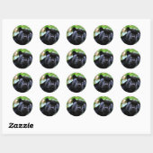 Zwarte PantherMacro Ronde Sticker (Vel)