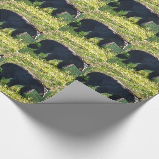 Zwarte Papa-Beer-opvulpapier Cadeaupapier (Hoek)