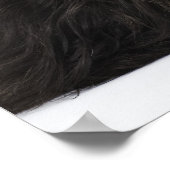 Zwarte pekingese hond die ligt poster (Hoek)