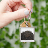 Zwarte pekingese hond die ligt sleutelhanger (Hand)