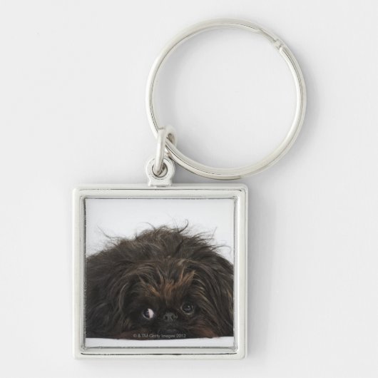 Zwarte pekingese hond die ligt sleutelhanger (Voorkant)