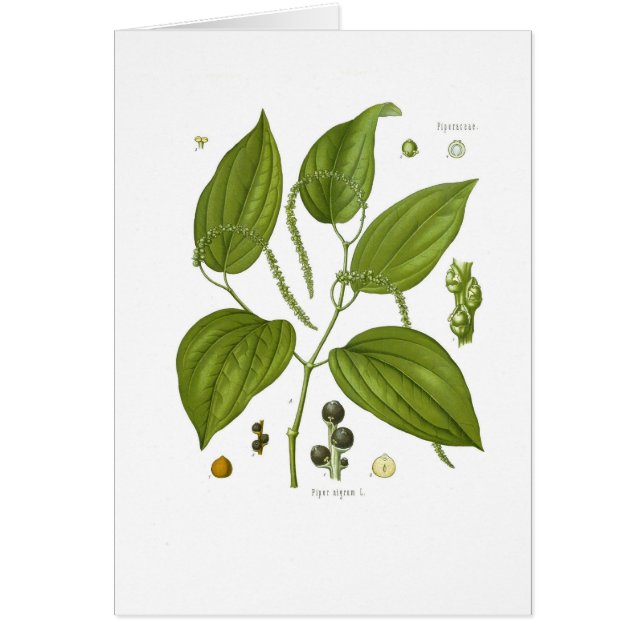 Zwarte Pepper (Voorkant)