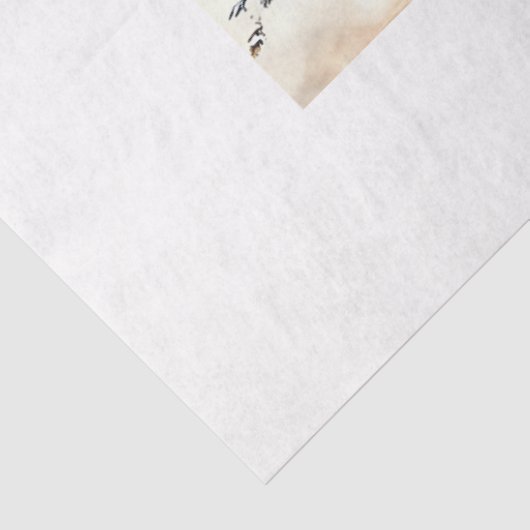 Zwarte Perzische Kat Mode Verklaring Decoupage Tissuepapier (Detail)